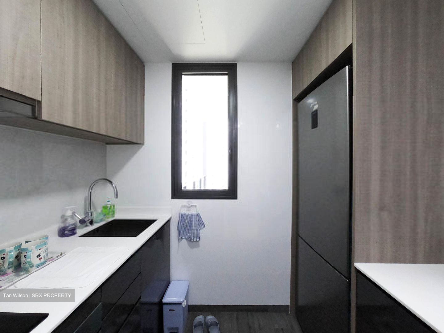 Botanique At Bartley (D19), Condominium #596202861